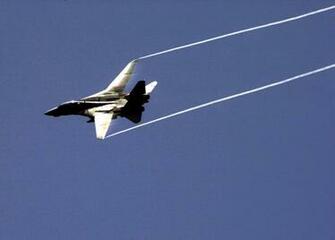 Tomcat HD Wallpaper Pictures