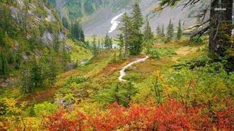 Fall Mountain Meadow Wallpaper Photography