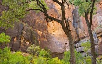 Utah Zion National Park Wallpaper