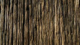 Wood Fibers Patterns Oldtimewallpaper Antique Wallpaper