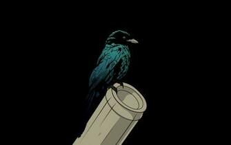 Wallpaper Raven Bird Pipe HD Background