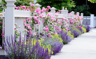 Flower Garden Wallpaper