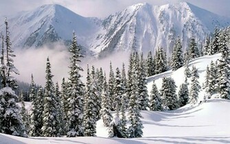 Winter Wonderland Pictures Wallpaper