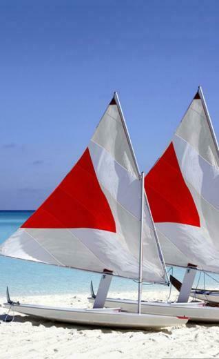 Thought Provoking Summer Wallpaper For Windows Phone