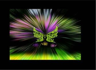 Neon Butterfly Wallpaper