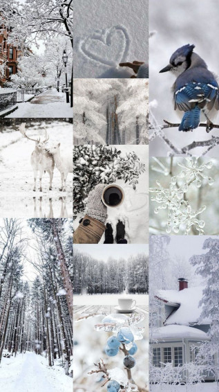 Aesthetic Wallpaper White Winter Christmas Phone