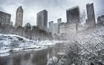 Central Park Manhattan New York City Winter HD Wallpaper