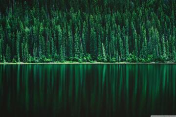 Forest Lake Ultra HD Desktop Background Wallpaper For 4k UHD Tv