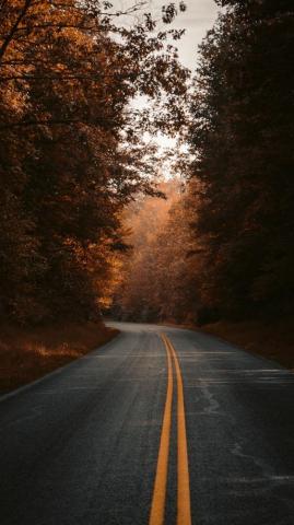 Fall Road Highway Wallpaper Nature Photography