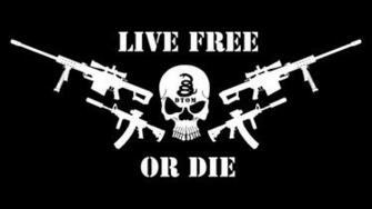 Don T Tread On Me Tattoo Gambar Rumah