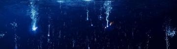 Anime Fish Water 4k Wallpaper
