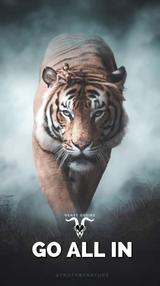 Beast Desire Wallpaper Motivational Quotes Tiger