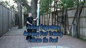 Baguazhang Jiulong Applications And Training Dragon S Gate