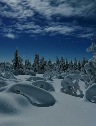 Lapland Finland Wallpaper For Asus Transformer