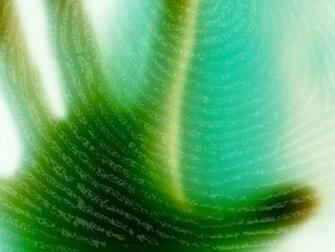 Virtual Background