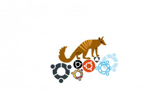 Numbat Wallpaper