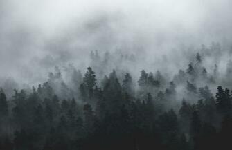 Best Fog Pictures Stock Photos