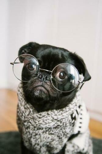 Intelligent Pictures Image