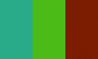 Jungle Green Related Keywords Suggestions Long Tail