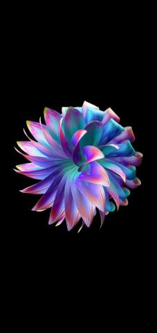 Flower Aesthetic Amoled Wallpaper Heroscreen Cool