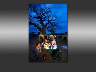 Computer Desktop Wallpaper Camping Under The Baobab Trees