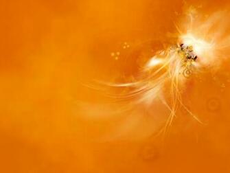 Orange Yakuda Desktop Pc And Mac Wallpaper