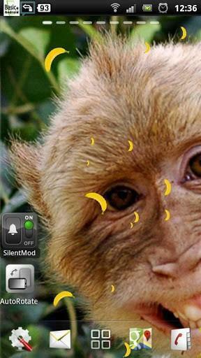 Monkey Live Wallpaper Screenshot For Android