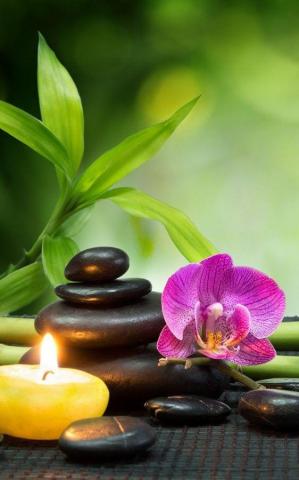 Peaceful Zen Gardens Wallpaper Garden