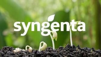 Discover How Syngenta Gets Compliant Easely And Quickly With Ifrs