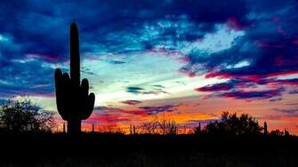 Saguaro National Park Clouds Landscape Nature
