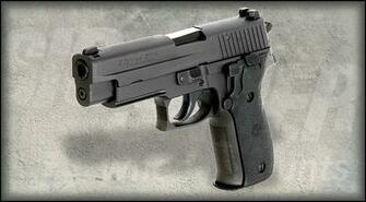 P226 Black Stainless