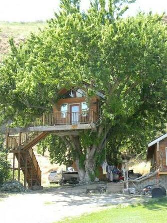 Amazing Tree House Wallpaper