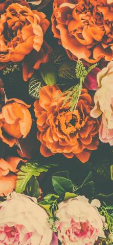Orange And Pink Peonies Artificial Flower iPhone Pro