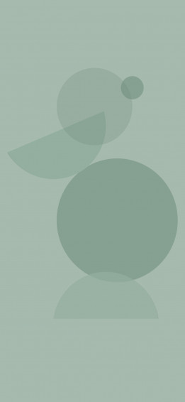 Sage Green Aesthetic Wallpaper