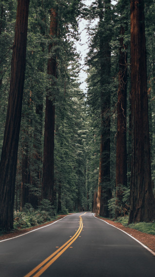 Wallpaper Of The Month California Summer