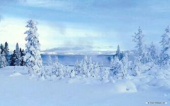 Nature Wallpaper Winter Wonderland