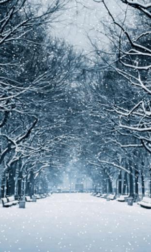 Snow Screensaver Wallpaper Pre Id