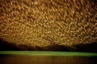Light Reflecting Wallpaper