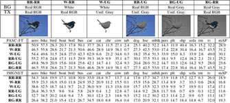 Table From Exploring Invariances In Deep Convolutional Neural