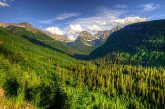 Usa Glacier Montana Fir Nature Wallpaper