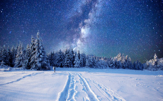 Nature Winter 4k Ultra HD Wallpaper