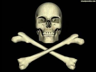 Skull And Crossbones Wallpaper