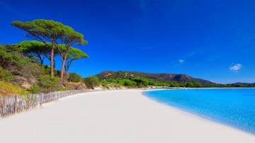 Wallpaper Nature Landscape Sand Water Trees Coast Clear