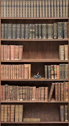 Decor Bookshelf Wallpaper Faux Book Library