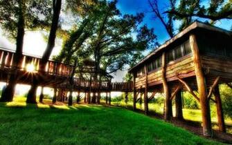 Autumn Tree House Wallpaper