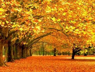 Desktop Wallpaper Nature Fall HD