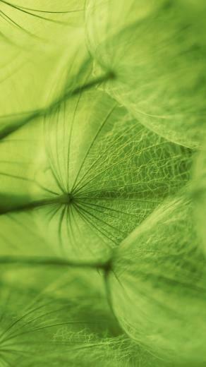 Earth Wallpaper Android