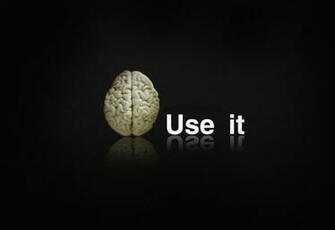Wallpaper Funny