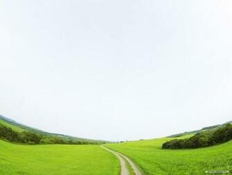 Wallpaper Wonderful Green Nature