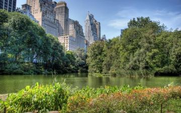 Central Park Story Book Three